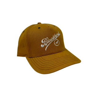 Script Logo 6-Panel Hat